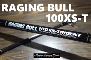 RACING BULL 100XS TRIDENT SPECIAL MODEL-