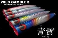 WILD GAMBLER 聖天200F-95g - Blue water house Mobile shop