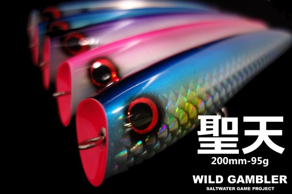 WILD GAMBLER 聖天200F-95g - Blue water house Mobile shop