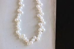 쥪+ݥƥøѡΥͥå쥹<img class='new_mark_img2' src='https://img.shop-pro.jp/img/new/icons14.gif' style='border:none;display:inline;margin:0px;padding:0px;width:auto;' />