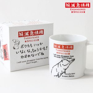 食器＆業務用食器 - 雑貨オンラインショップShinzi Katoh Collection