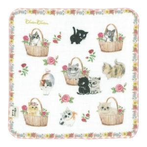 Chaton Chaton - 雑貨オンラインショップShinzi Katoh Collection Chaton Chaton - 雑貨オンラインショップShinzi Katoh Collection