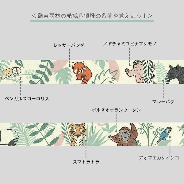 3cmゆうパケット対応】絶滅危惧種マスキングテープ(15mm幅)[Tropical