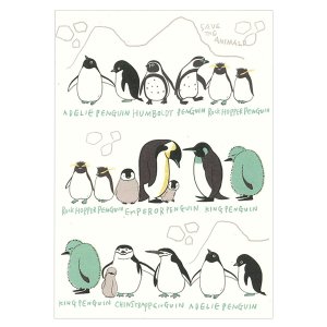 【ゆうパケット対応】絶滅危惧種 バナナペーパーポストカード[Penguin walk]