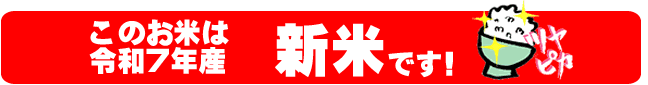 £ǯ