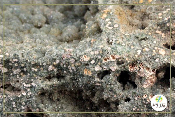 オーシャンジャスパー / マダガスカル産｜天然石 通販 キラリ石の鉱物解説