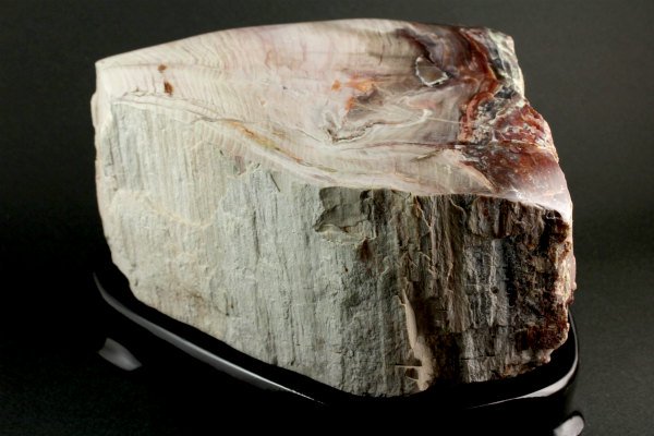 珪化木 置石 4.55kg｜天然石 原石 通販 キラリ石