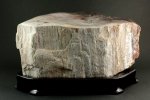 珪化木 置石 4.55kg