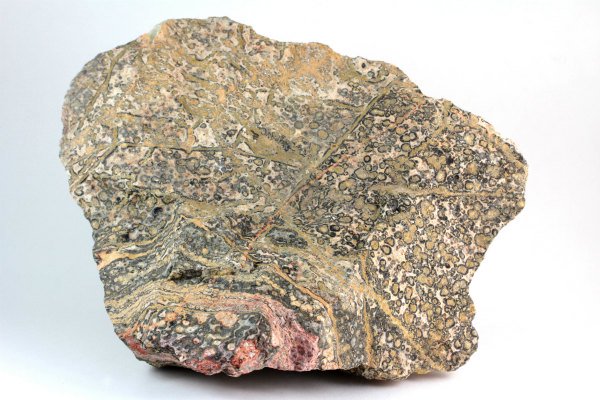 レオパードスキンジャスパー 原石 3.3kg｜天然石 原石 通販キラリ石