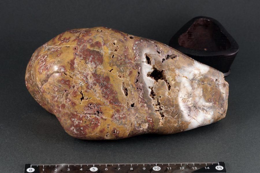 �������� ���� 1.4kg  - ����¾1����