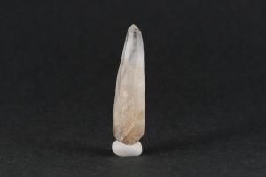 Ĺ¼徽 뾽 2.7gξʲ