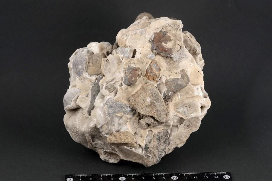 츩ͬĮ  1.9kg - ¾1