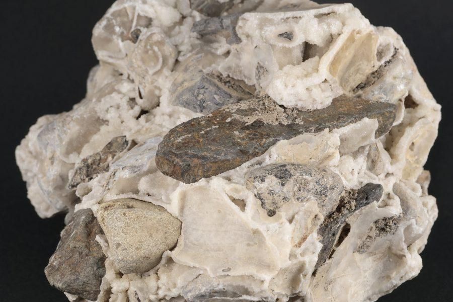 츩ͬĮ  1.9kg - ¾2