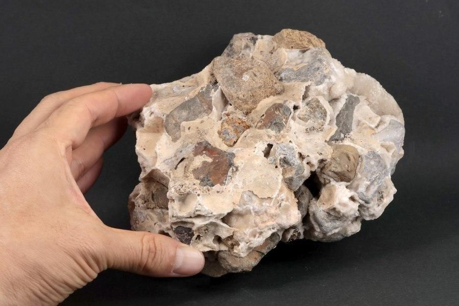 츩ͬĮ  1.9kg - ¾3