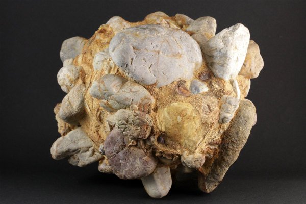 美濃の壺石 3.6kg｜天然石 原石 通販のキラリ石