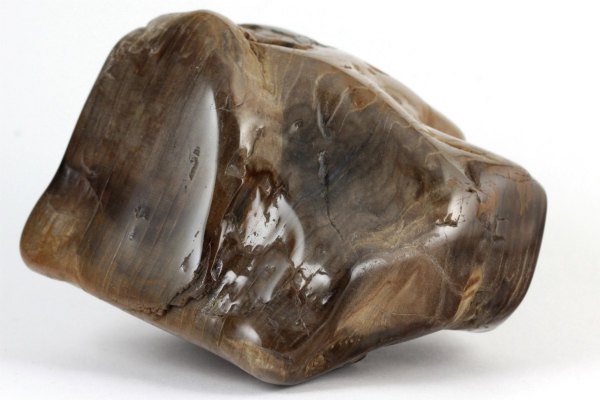 珪化木(木化石) 原石 磨き 398g｜天然石通販キラリ石