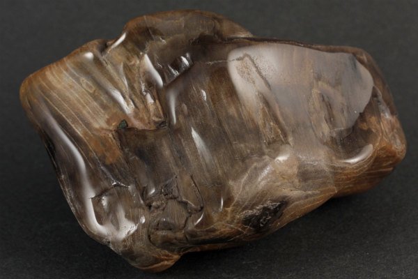 SV珪化木ネックレス 10mm玉 42個使用 銀製金具 木の化石 シリカ 古代 樹木化石化 SILVER 留め具