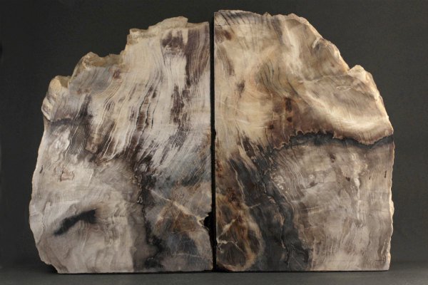 珪化木 磨き石 2個セット 5.9kg｜天然石 原石 通販 キラリ石