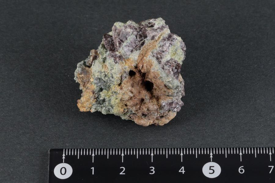 �ܺ긩������ ���� 33.8g - ����¾1����