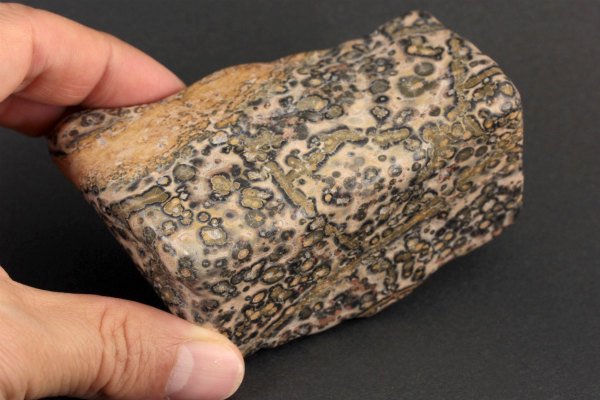 レオパードスキンジャスパー原石 磨き259g｜天然石通販キラリ石