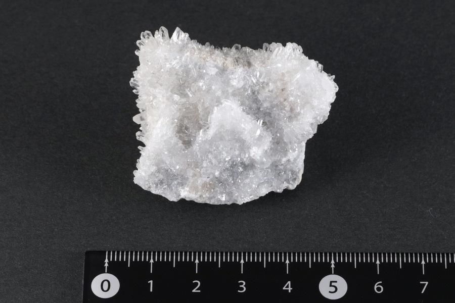 ֹۻ徽 饹 49.6g  - ¾1