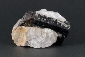 ȥޥ    150g<img class='new_mark_img2' src='https://img.shop-pro.jp/img/new/icons15.gif' style='border:none;display:inline;margin:0px;padding:0px;width:auto;' />ξʲ