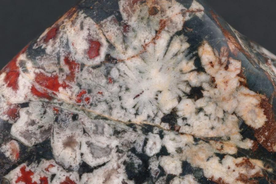 ����ë�� �Ʋ��� 233g  - ����¾2����