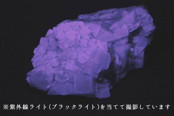 Yahoo!オークション - 【共生美】フローライト＆クォーツ 蛍石