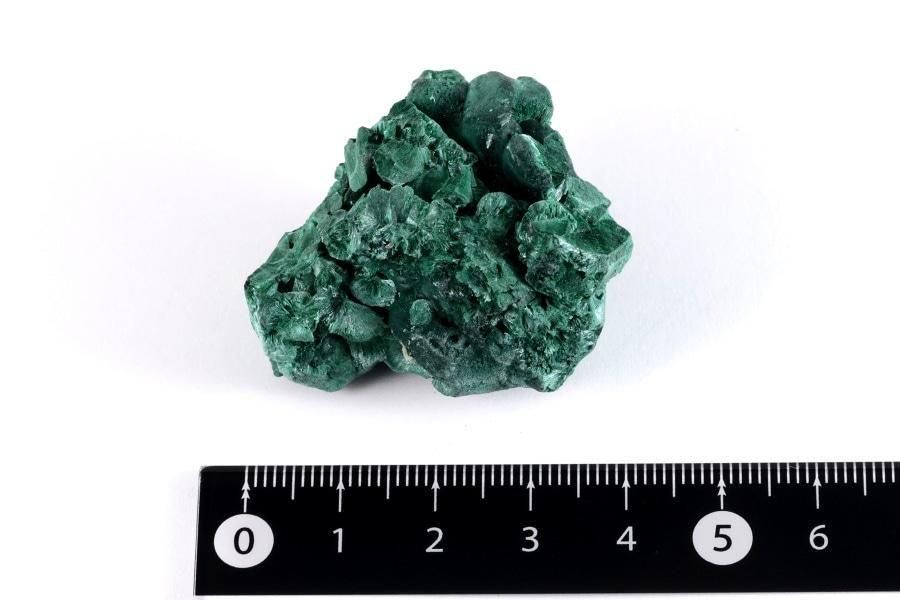 ޥ饫 ()  40.2g - ¾1