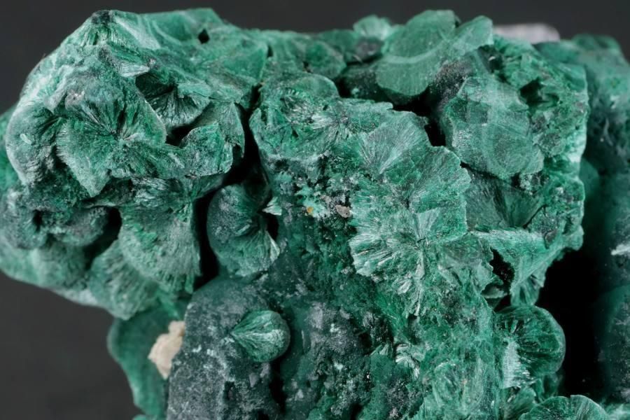 ޥ饫 ()  40.2g - ¾2