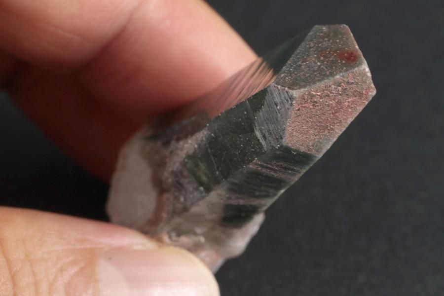 �ҥޥ�� �ޥ˥ϡ��뻺�徽 �뾽 17.4g - ����¾4����