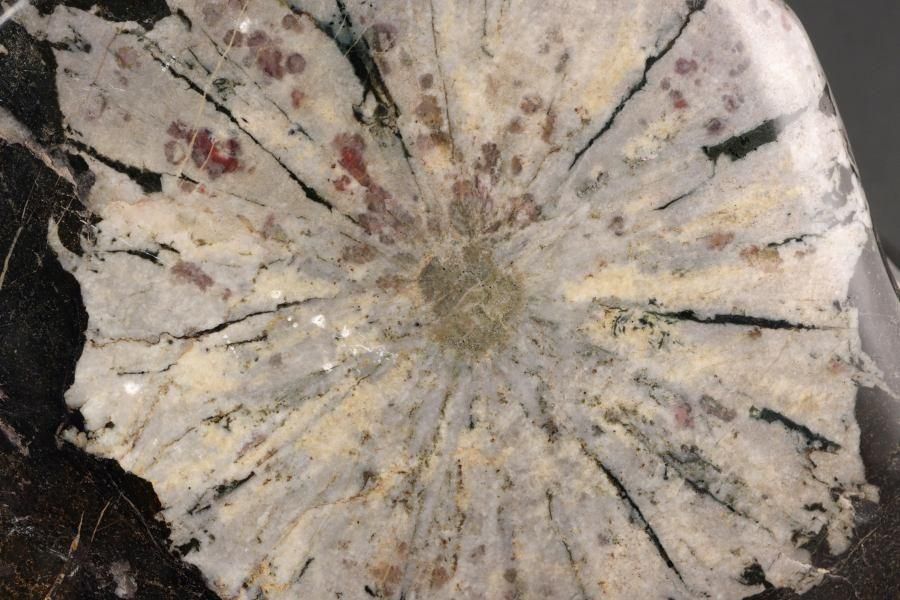 岐阜県根尾谷産 菊花石 台付き 2.0kg - その他2枚目