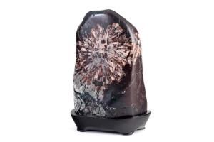 菊花石　岐阜県産　6、6kg 菊花石 SA668 | 岐阜県揖斐川町 | ふるさと納税サイト「さとふる」