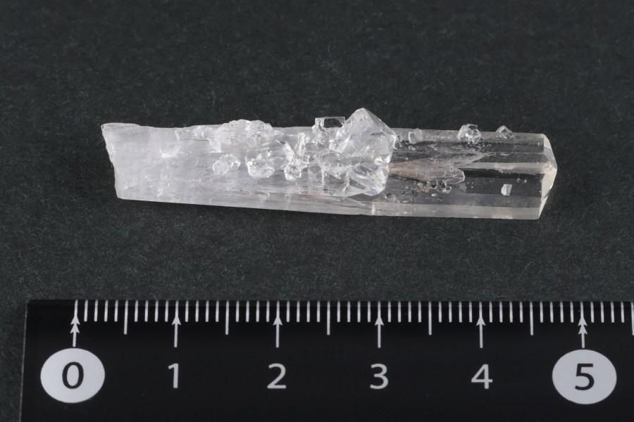 쥵&ݥե饤  3.2g  - ¾1