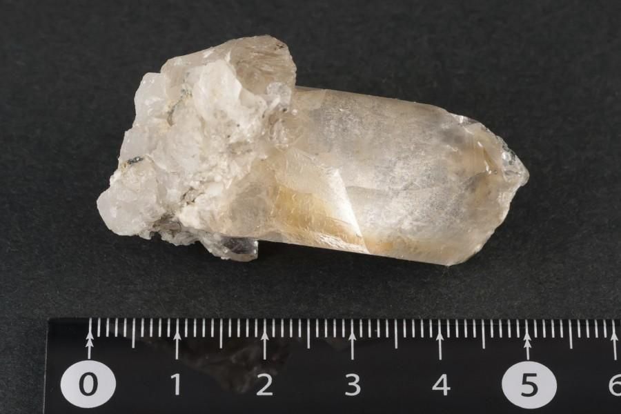ҥޥ ͡ҥޡ뻺徽 뾽 31.5g  - ¾1