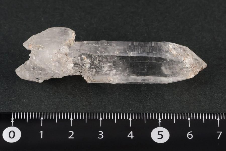 ҥޥ ͡ҥޡ뻺徽 뾽 25.6g  - ¾1