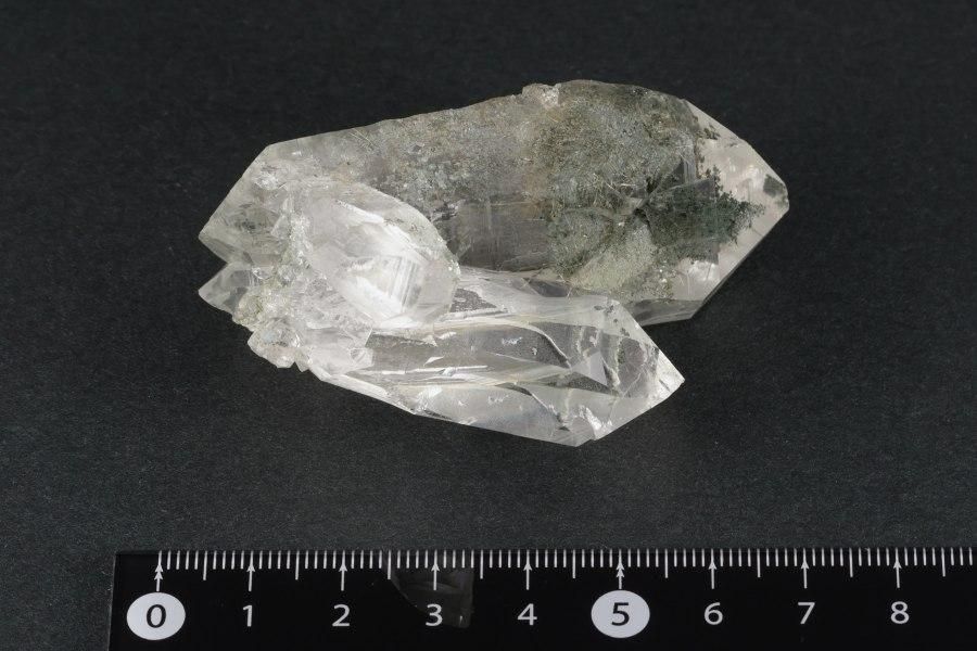 ҥޥ ޥ˥ϡ뻺徽 뾽 92g  - ¾1