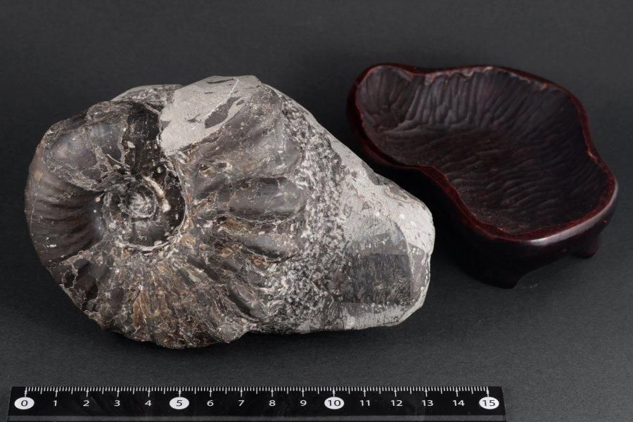 ʥȲ ̳ƻ ʥɥꥻ饹 1.1kg - ¾1