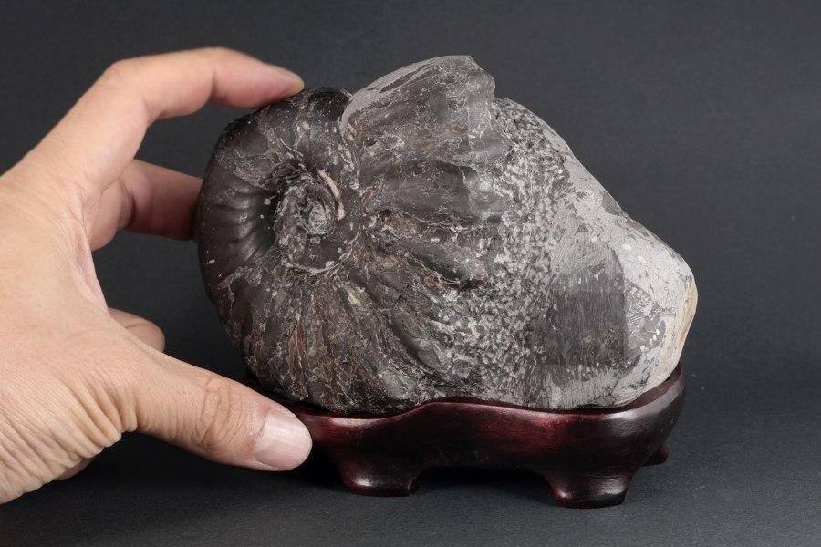 ʥȲ ̳ƻ ʥɥꥻ饹 1.1kg - ¾3