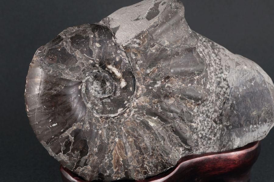 ʥȲ ̳ƻ ʥɥꥻ饹 1.1kg - ¾4