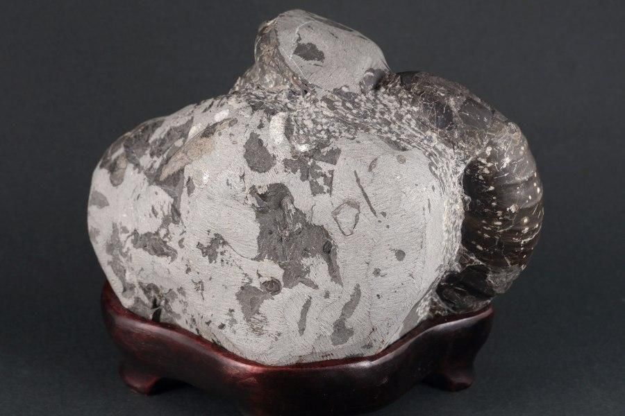 ʥȲ ̳ƻ ʥɥꥻ饹 1.1kg - ¾6