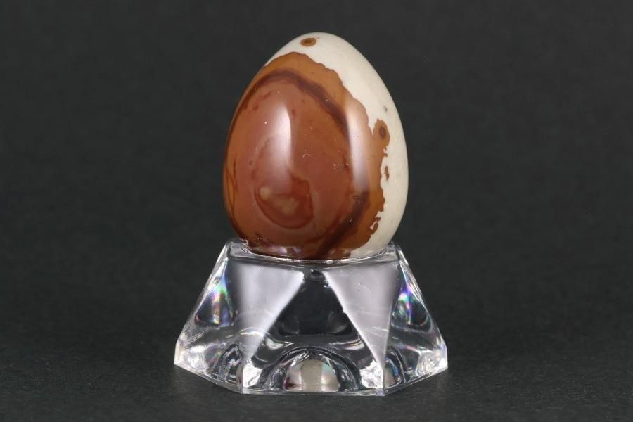 アンモナイト化石 北海道産 アナゴードリセラス 1.1kg｜キラリ石