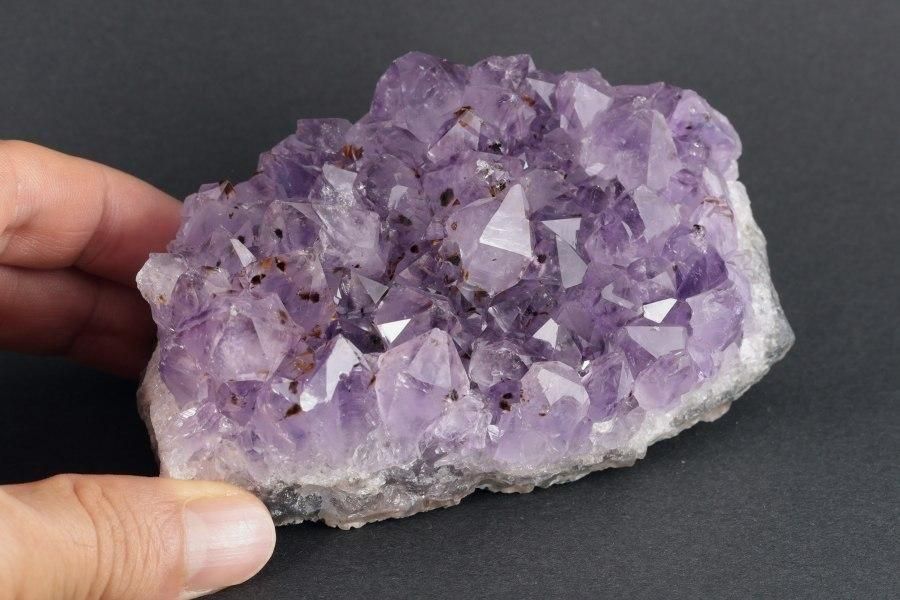 ֥饸뻺᥸ 饹 389g - ¾3