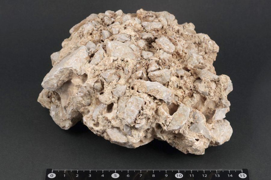 츩ͬĮ  1.4kg  - ¾1