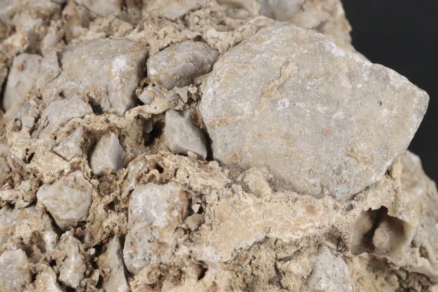 츩ͬĮ  1.4kg  - ¾2