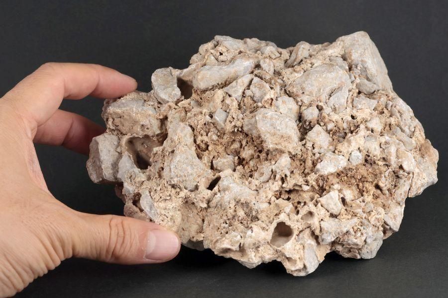 츩ͬĮ  1.4kg  - ¾3