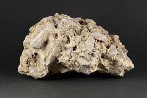 츩ͬĮ  1.4kg<img class='new_mark_img2' src='https://img.shop-pro.jp/img/new/icons15.gif' style='border:none;display:inline;margin:0px;padding:0px;width:auto;' />ξʲ