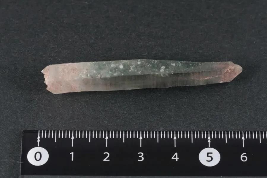 ҥޥ ޥ˥ϡ뻺徽 뾽 8.8g  - ¾1