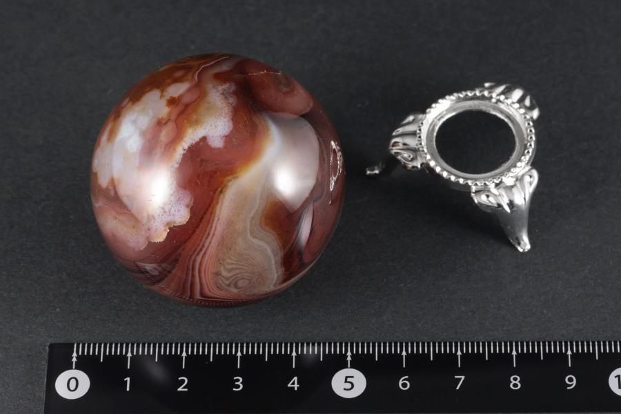 ͥꥢ ݶ 46mm  - ¾1