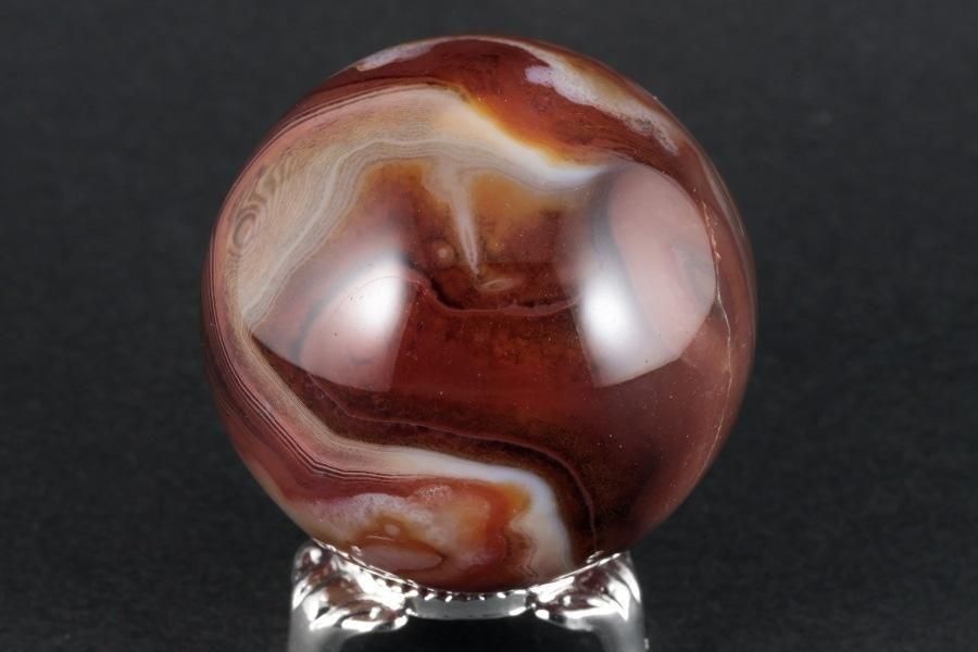 ͥꥢ ݶ 46mm  - ¾5